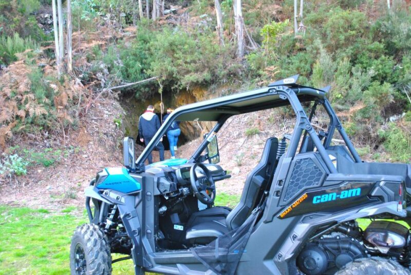 Buggy Experiences - Frequently Asked Questions