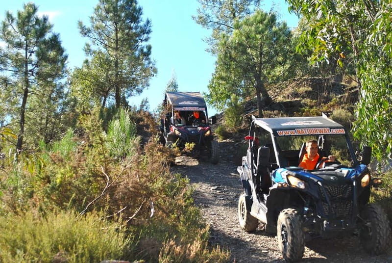 Buggy Family Experience - 60 to 120 minutes - Itinerary Breakdown