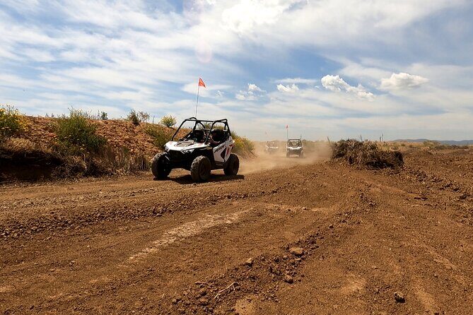Buggy for children in Mallorca - The Setting & Location