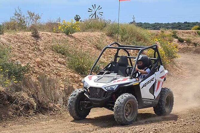 Buggy for children in Mallorca - The Equipment & Safety
