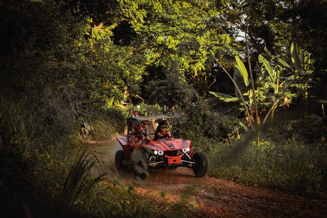 Buggy Half Day Adventure with Cave Swim from Punta Cana - Final Thoughts