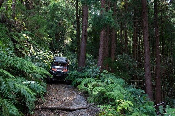 Buggy  Off-road Excursion- Coast to Coast  Half Day (Shared) - The Experience of Off-Road Driving