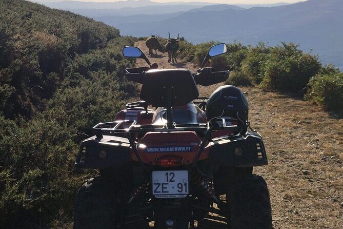 Buggy or Moto4 tour through Melgaço - Additional Resources