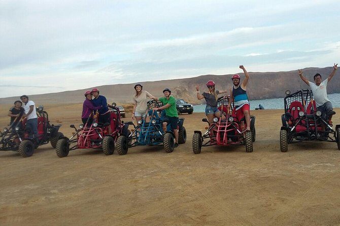 Buggy ride in Paracas National Reserve - A Closer Look at the Buggy Ride in Paracas National Reserve