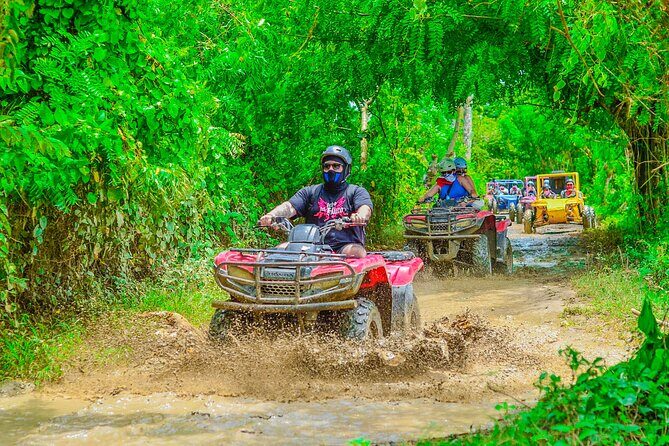 Buggy Ride Into the jungle with cave coffee & chocolate tasting - Who Is This Tour Best For?