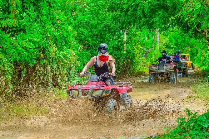 Buggy Ride Into the jungle with cave coffee & chocolate tasting - The Sum Up: Is It Worth It?