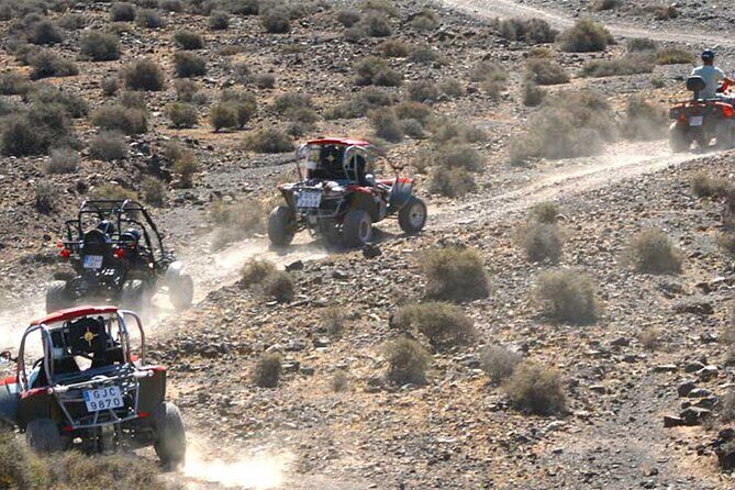Buggy Safari In Costa Calma - Key Points