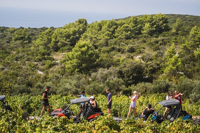 Buggy Safari With Wine Tasting - Who Should Consider This Tour?