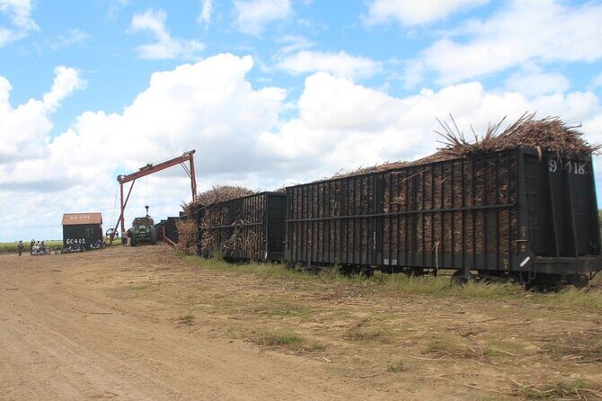 Buggy Sunset - Full day tour with diner on the river- small group - Final Thoughts: Who Should Consider This Tour?