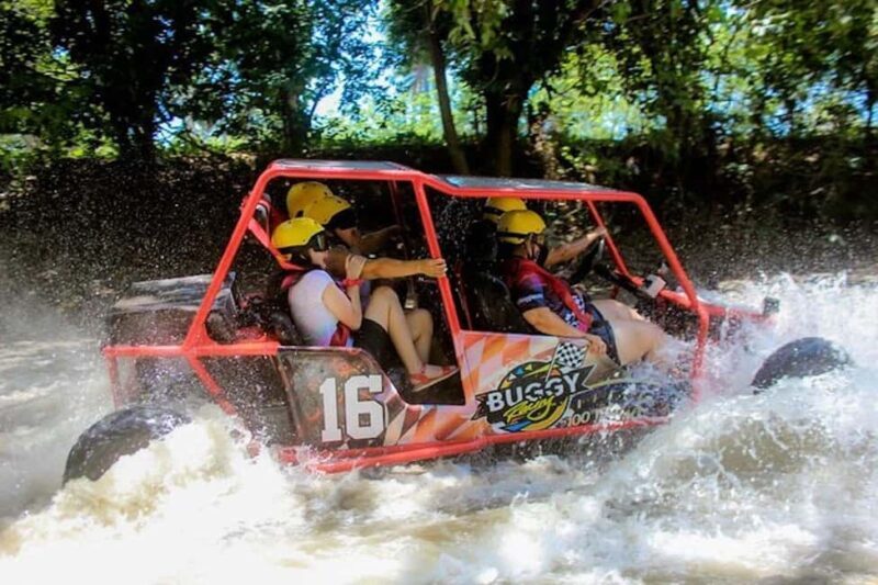 Buggy Tour Excursion in Taino Bay and Amber Cove Port - The Sum Up