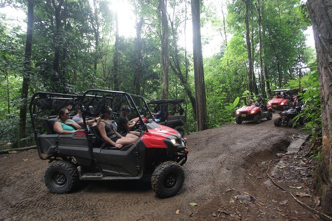 Buggy Tour in Jaco - Key Points