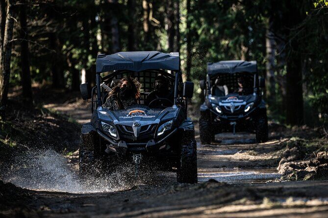 Buggy Tour in Serra da Lousã 2Hours - Who Will Love This Tour?