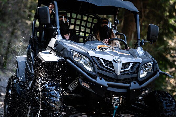 Buggy Tour in Serra da Lousã 2Hours - The Sum Up