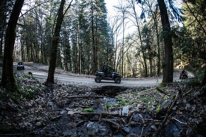Buggy Tour in Serra da Lousã 2Hours - FAQs