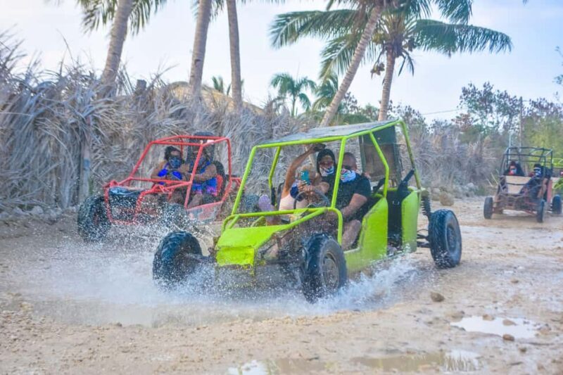 Buggy Tour Punta Cana Macao Beach and Taino Cave Guided - Who Will Love This Tour?