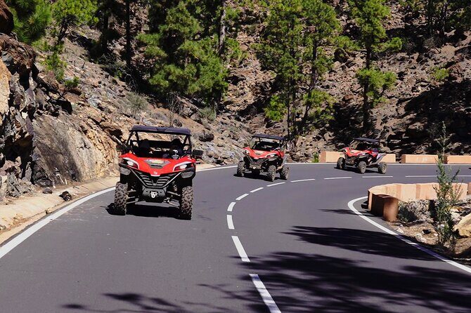 Buggy tour to Teide in Tenerife - Authentic Insights from Travelers