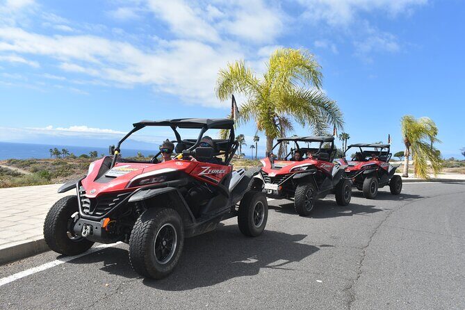 Buggy tour to Teide in Tenerife - The Sum Up