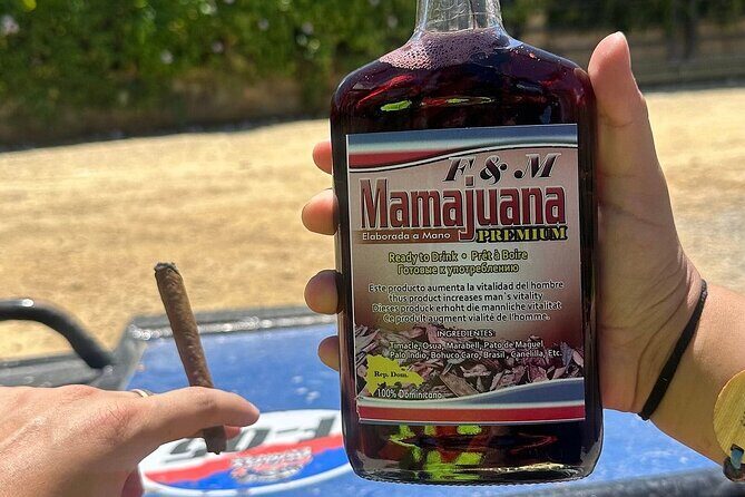 Buggy Tour with Organic Farm, Macao Beach Visit from Punta Cana - The Sum Up