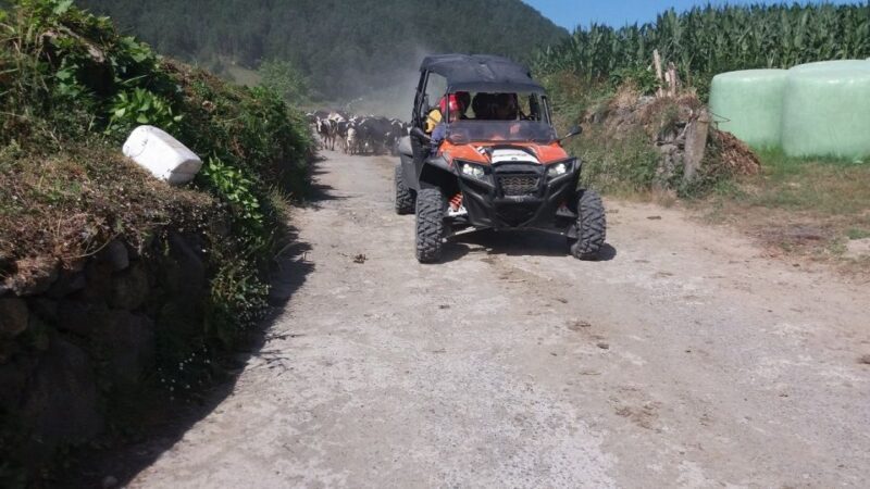 Buggy|Quad|Jeep Coast to Coast Tour (Ribeira Grande) off 4x4 - Key Points
