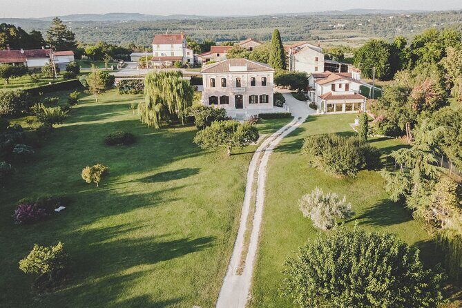 Buje: Authentic Istrian family farm, guided walk, foods & wine - Food, Wine, and Local Delights