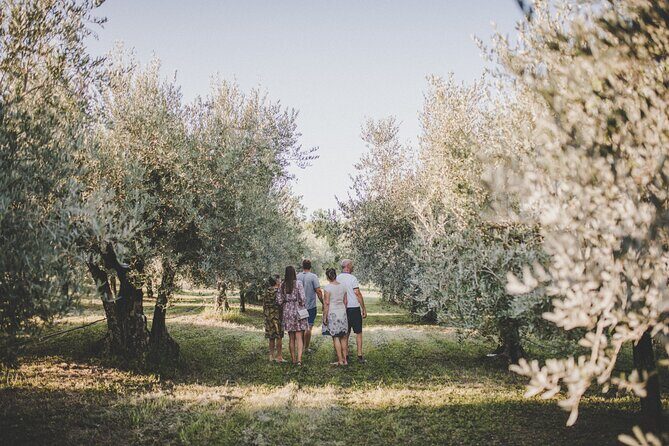 Buje: Authentic Istrian family farm, guided walk, foods & wine - Authenticity and What Reviews Say