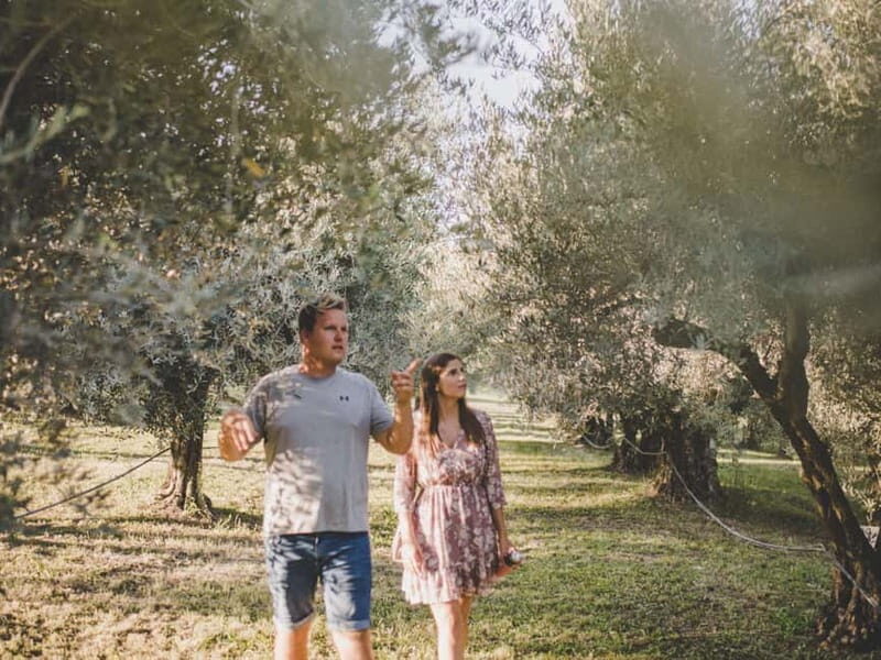 Buje: Istrian Family Farm with Walking Tour, Food, and Wine - Authenticity and Reviews