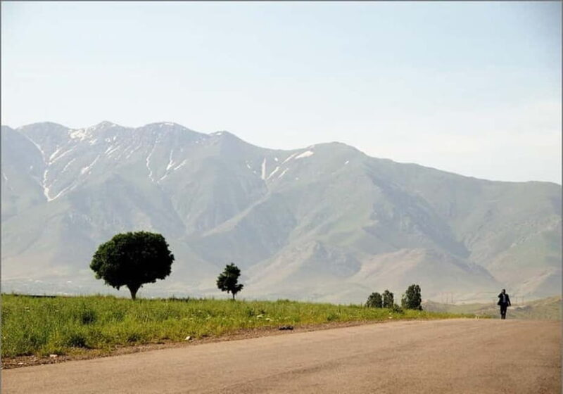 Bukhara-Shakhrisabz-Samarkand One Day Trip - Key Points