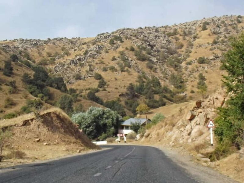 Bukhara-Shakhrisabz-Samarkand One Day Trip - Who Should Consider This Tour?