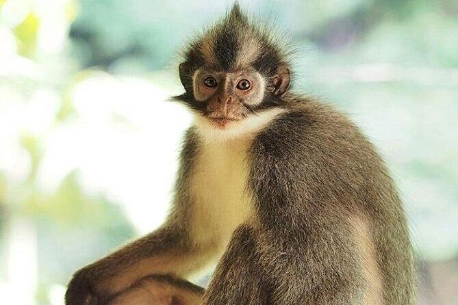 Bukit lawang 2 Day 1 Night with camping - Final Thoughts