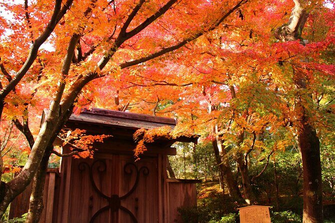 Bullet Train Experience and Atami Museum of Art Private Tour - Frequently Asked Questions