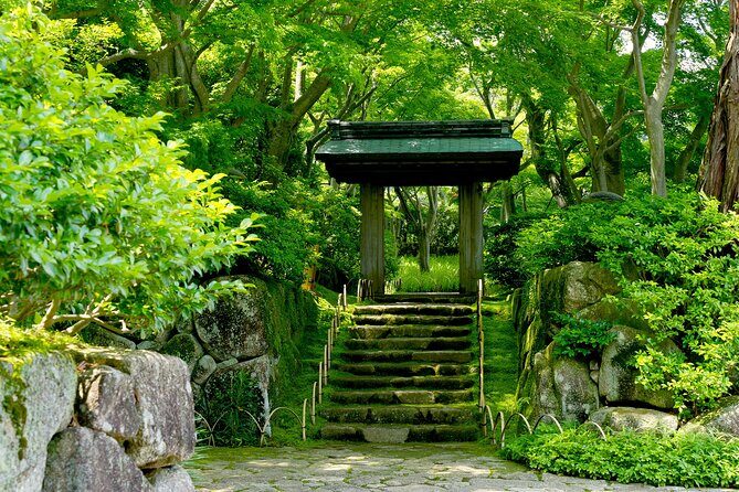 Bullet Train Experience and Atami Museum of Art Private Tour - Final Thoughts