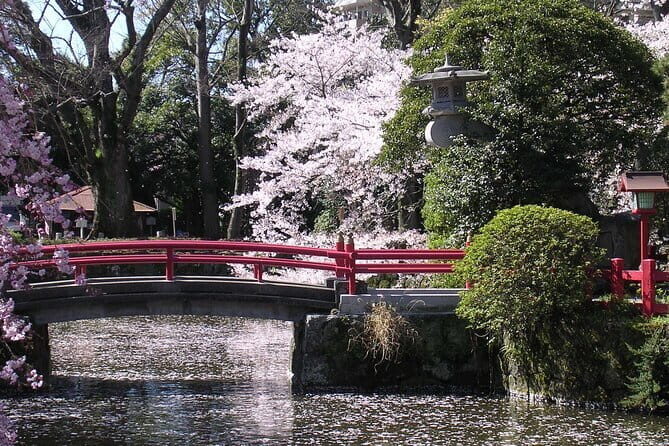 Bullet Train Experience & Mishima Shrine Private Tour from Tokyo - The Complete Breakdown: What to Expect from This Tour