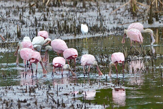 Bulls Island Ferry Adventure - Final Thoughts