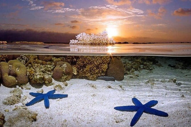 Bunaken Island three-point snorkeling includes lunch and shuttle - Key Points