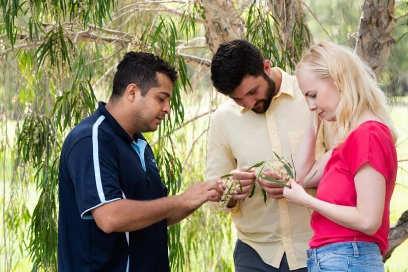 Bundaberg: Half Day Indigenous Experience with Morning Tea - An In-Depth Look at the Bundaberg Indigenous Experience