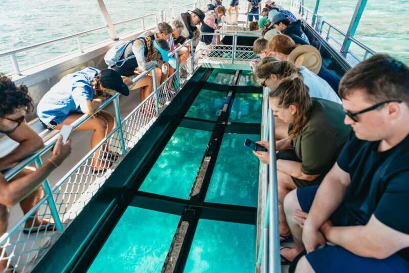 Bundaberg: Lady Musgrave Island and Great Barrier Reef Tour - The Full Review: What You Can Expect and Why It Matters