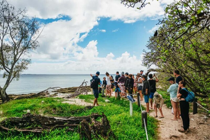 Bundaberg: Lady Musgrave Island and Great Barrier Reef Tour - Who Should Consider This Tour?
