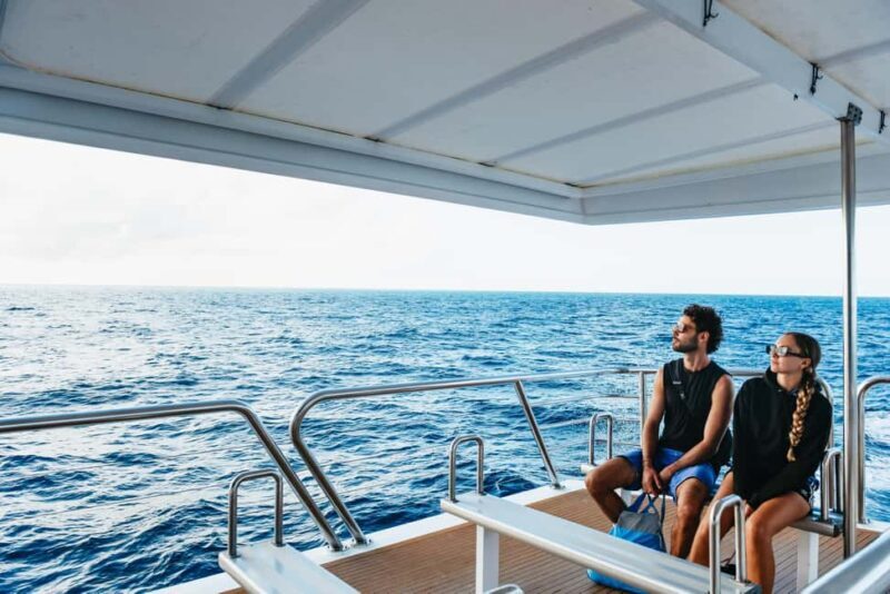 Bundaberg: Lady Musgrave Island and Great Barrier Reef Tour - FAQs