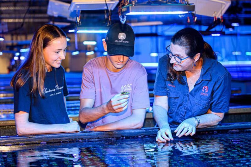Bundaberg: Monsoon Aquatics Coral Farm Guided Tour - Key Points