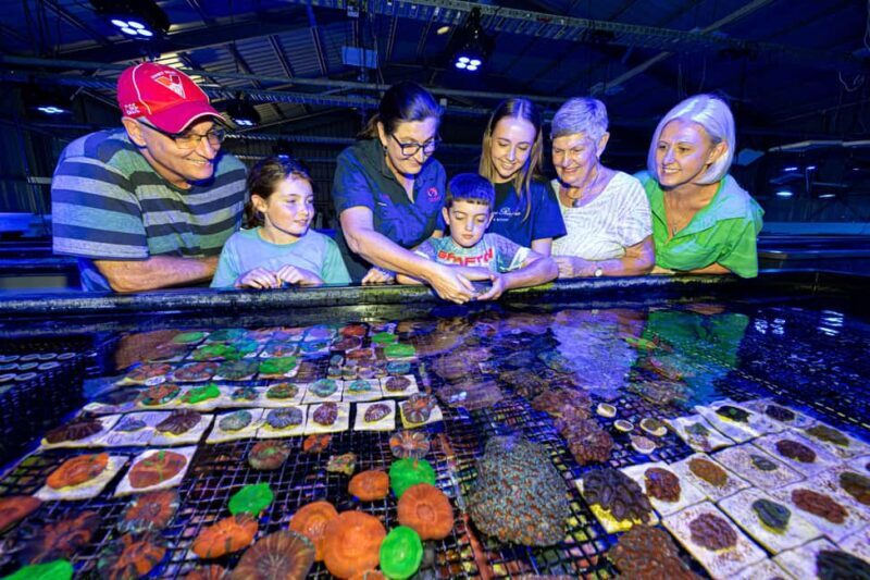 Bundaberg: Monsoon Aquatics Coral Farm Guided Tour - A Deep Dive into the Coral Farm Experience