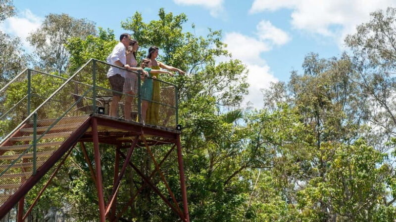 Bundaberg: Mystery Craters Tour & Sensory Earth Experience - Final Thoughts