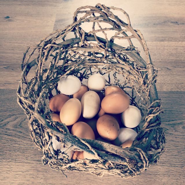 Bundaberg: Splitters Farm Guided Tour - A Deep Dive into the Splitters Farm Guided Tour