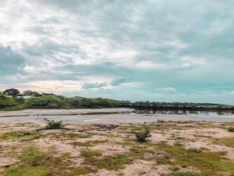 Bundala National Park Safari from Weligama - Frequently Asked Questions