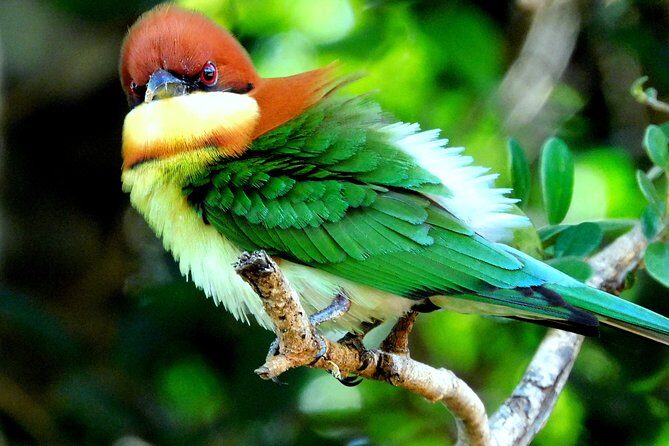 Bundala National Park Safari (PRIVATE TOURS)- Morning & Afternoon - Authentic Experiences From Travelers