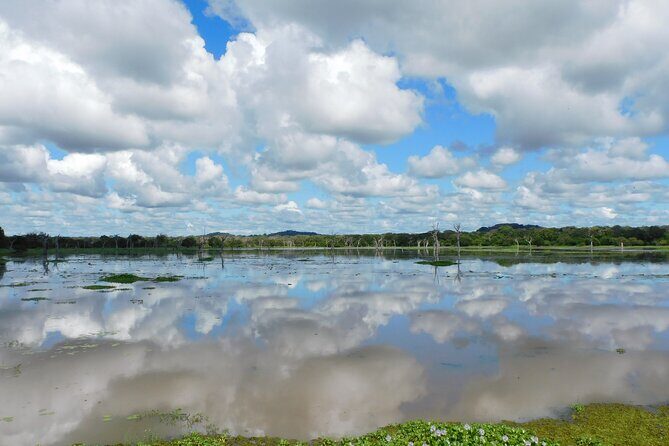 Bundala National Park : Safari Tour with Entrance tickets & Jeep - Frequently Asked Questions