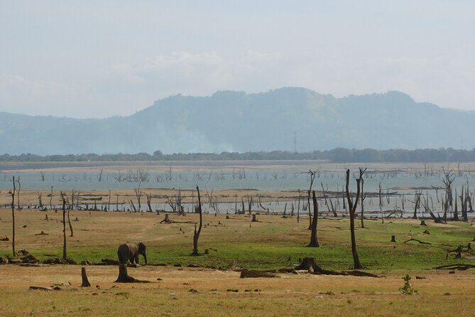 Bundala National Park : Safari Tour with Entrance tickets & Jeep - Final Summary