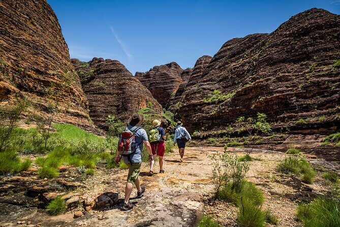 Bungle Bungle Flight & Domes To Cathedral Gorge Walking Tour - Discover the Bungle Bungle & Cathedral Gorge with a Scenic Flight and Guided Walk