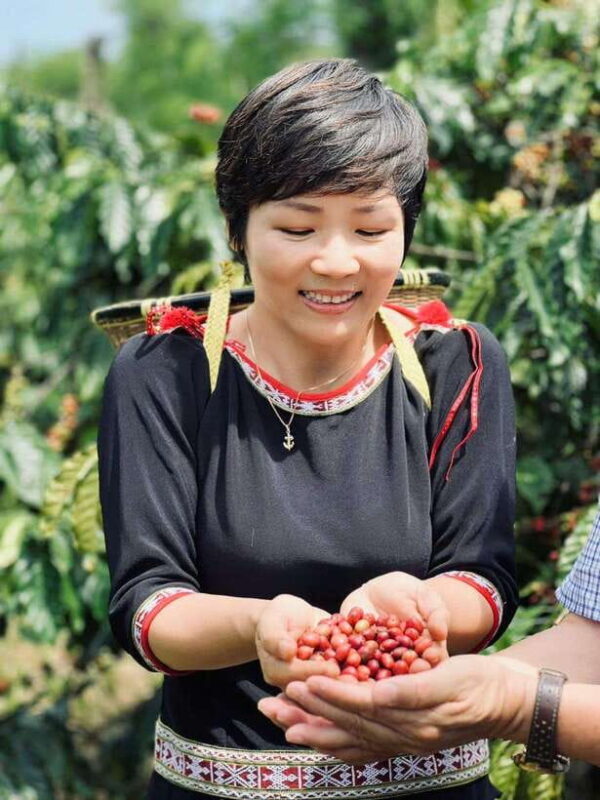 Buon Ma Thuot: Authentic Coffee Farm Experience with Lunch - Why This Tour Offers Real Value