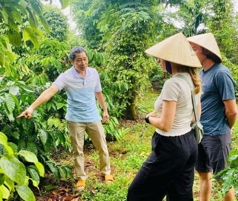 Buon Ma Thuot: Bean to Brew Coffee Farm Tour with Tasting - A Closer Look at the Coffee Farm Tour Experience