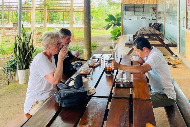 Buon Ma Thuot: Bean to Brew Coffee Farm Tour with Tasting - The Sum Up